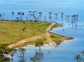 Nakuru, Naivasha & Mara Safari (Lodge) - 5 Days