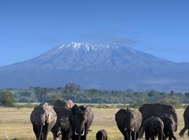 Amboseli, Nakuru & Masai Mara (Camping) - 6 Days