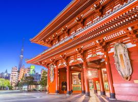 Tokyo to Seoul & Jeju - 20 Days