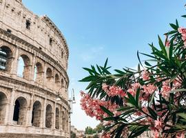 Budget Best of Italy Explorer - 8 Days