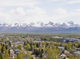 Alaska Denali & Wrangell Expedition - 12 Days