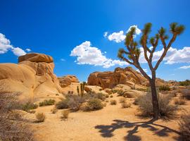 Mojave, Death Valley & Yosemite - 7 Days