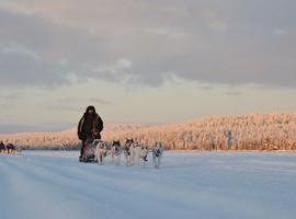 Finland Wilderness Essentials (Igloo) - 3 Days