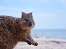 West Coast Australia - 13 Days 