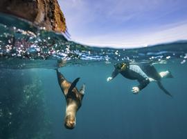 Galapagos Island Hopper - 6 Days