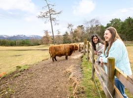 Scotland in a Week 2027 (Summer) - 6 Days