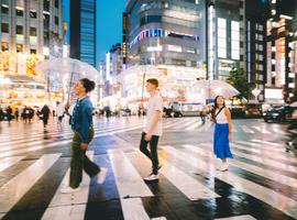 Japan Winter Wonder - 10 Days
