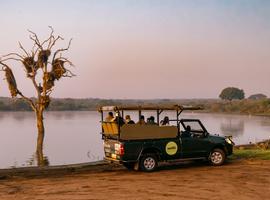 Cape, Safari and Falls - 11 Days
