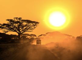 Kenya and Tanzania Safari - 11 Days