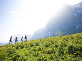 Active Alps - 7 Days