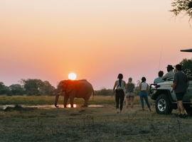 Victoria Falls and Botswana - 9 Days