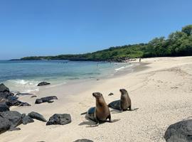 Ecuador and Galapagos Island Hopper - 12 Days