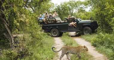 Kruger Safari with Eswatini - 7 Days