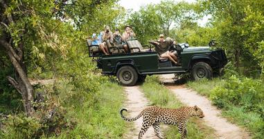 Kruger Safari with Eswatini - 7 Days