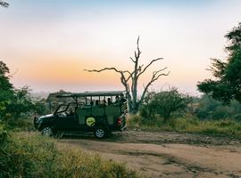 Cape, Safari and Falls 35 to 45 (35 To 45) - 11 Days