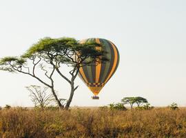 Kenya and Tanzania Adventure - 11 Days