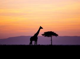 Kenya Adventure - 6 Days