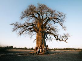 Tanzania Adventure - 6 Days
