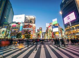 Japan Unrivalled 35 to 45 (35 To 45) - 13 Days