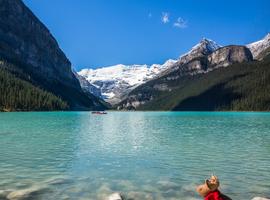 Wapiti - Uncover the Beauty of Western Canada