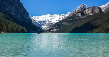 Wapiti - Uncover the Beauty of Western Canada