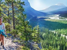 Athabasca - Experience the Iconic Moraine, Louise & Peyto Lakes