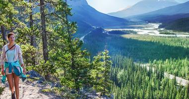 Athabasca - Experience the Iconic Moraine, Louise & Peyto Lakes