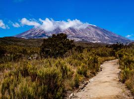 Hike Kilimanjaro - Marangu Route - 6 Days