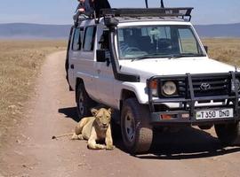 Northern Tanzania Safari Extension - Camping - 2 days