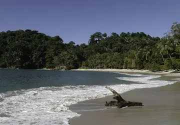 Image 3 of 23
