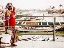 Senegal and The Gambia - 14 Days