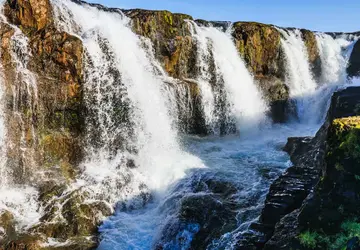 Image 3 of 14