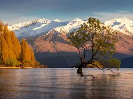 Walking in New Zealand 2027 - 19 Days