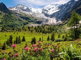 Tour du Mont Blanc Trek 2025 - 11 Days