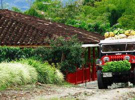 Contrasts of Colombia - 14 Days