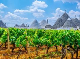 Highlights of Puglia - 8 Days