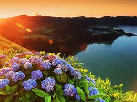 Walking in the Azores - 14 Days