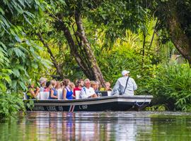 Upgraded - Costa Rica Wildlife 2025 - 14 Days
