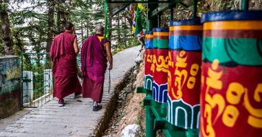Spiritual India - Foothills of the Himalaya 2025 - 13 Days