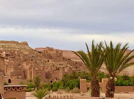 Cycle Morocco - Atlas to the Sahara 2026 - 8 Days