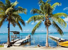 Family Belize Wildlife Adventure - 14 Days