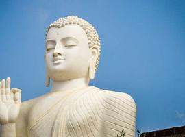 Highlights of Sri Lanka West Coast - 7 Days