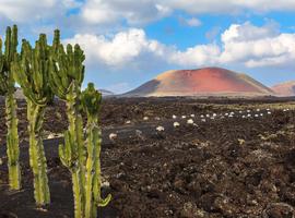 Canary Islands Walking - Lanzarote - 8 Days
