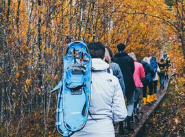 Walk Estonia, Latvia and Lithuania - 8 Days