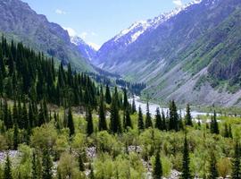 Walking in Kyrgyzstan 2026 - 9 Days