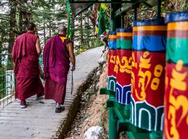 Spiritual India - Foothills of the Himalaya 2026 - 13 Days