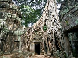 Cambodia Highlights - 8 Days