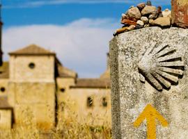 Walking the Camino de Santiago 2026 - 12 Days