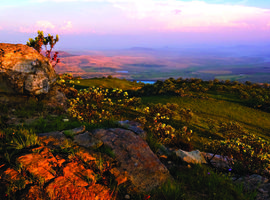 South Africa & Eswatini 2026 - 10 Days