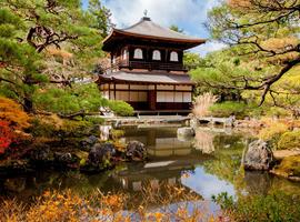 Cycle Japan 2026 - 13 Days